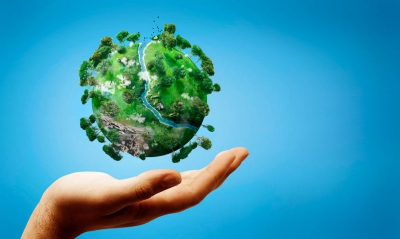 "Это же чистый убыток!"